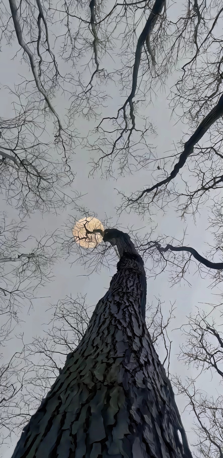 一念执着,万般皆苦.  一念放下,便是重生.