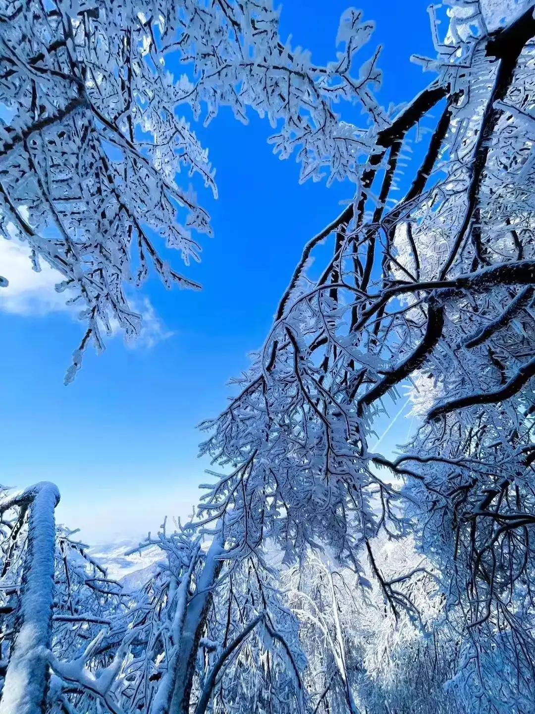 苍茫大地白雪皑皑图片