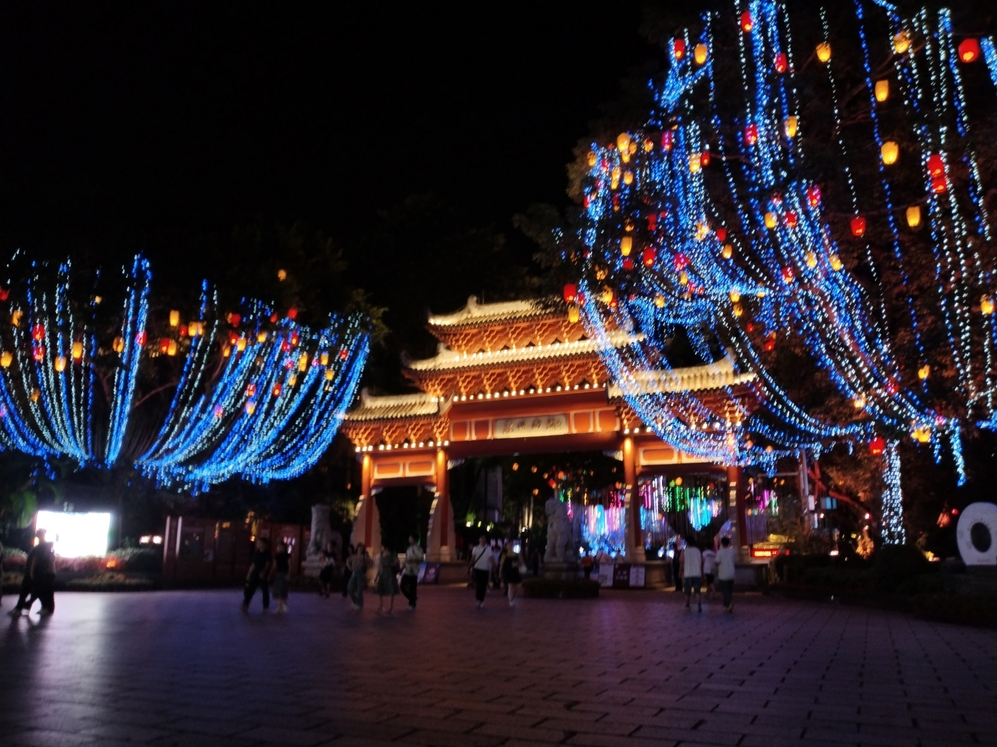 惠东西枝江夜景图片