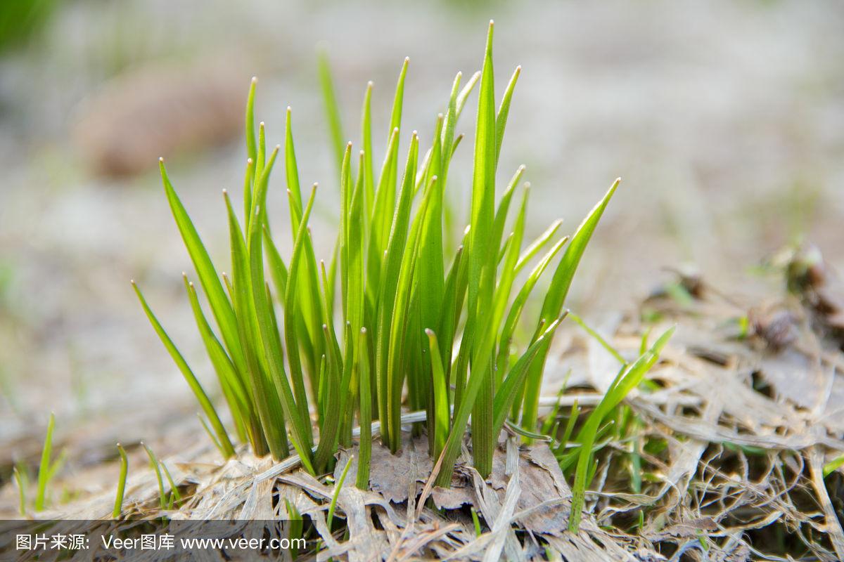 文章是人的心灵的动态