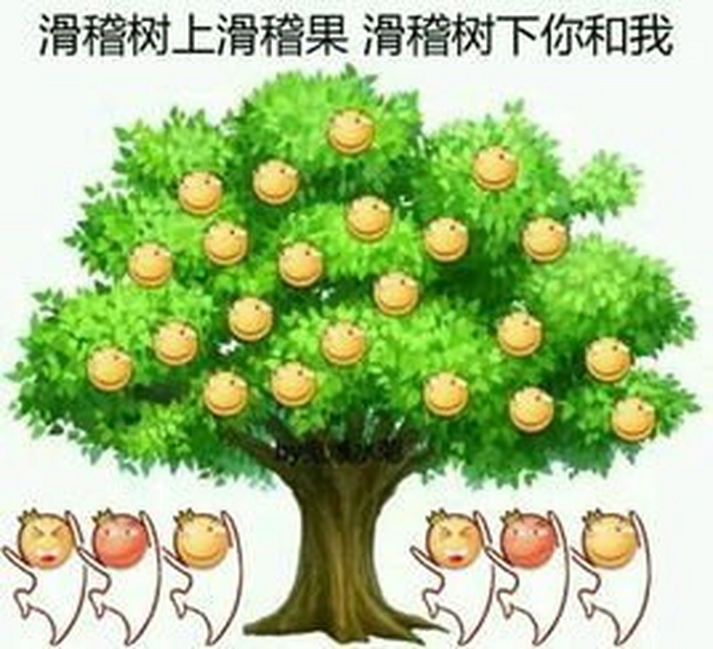 滑稽树上滑稽果,滑稽树下你和我[滑稽][滑稽][滑稽][滑稽][滑稽]