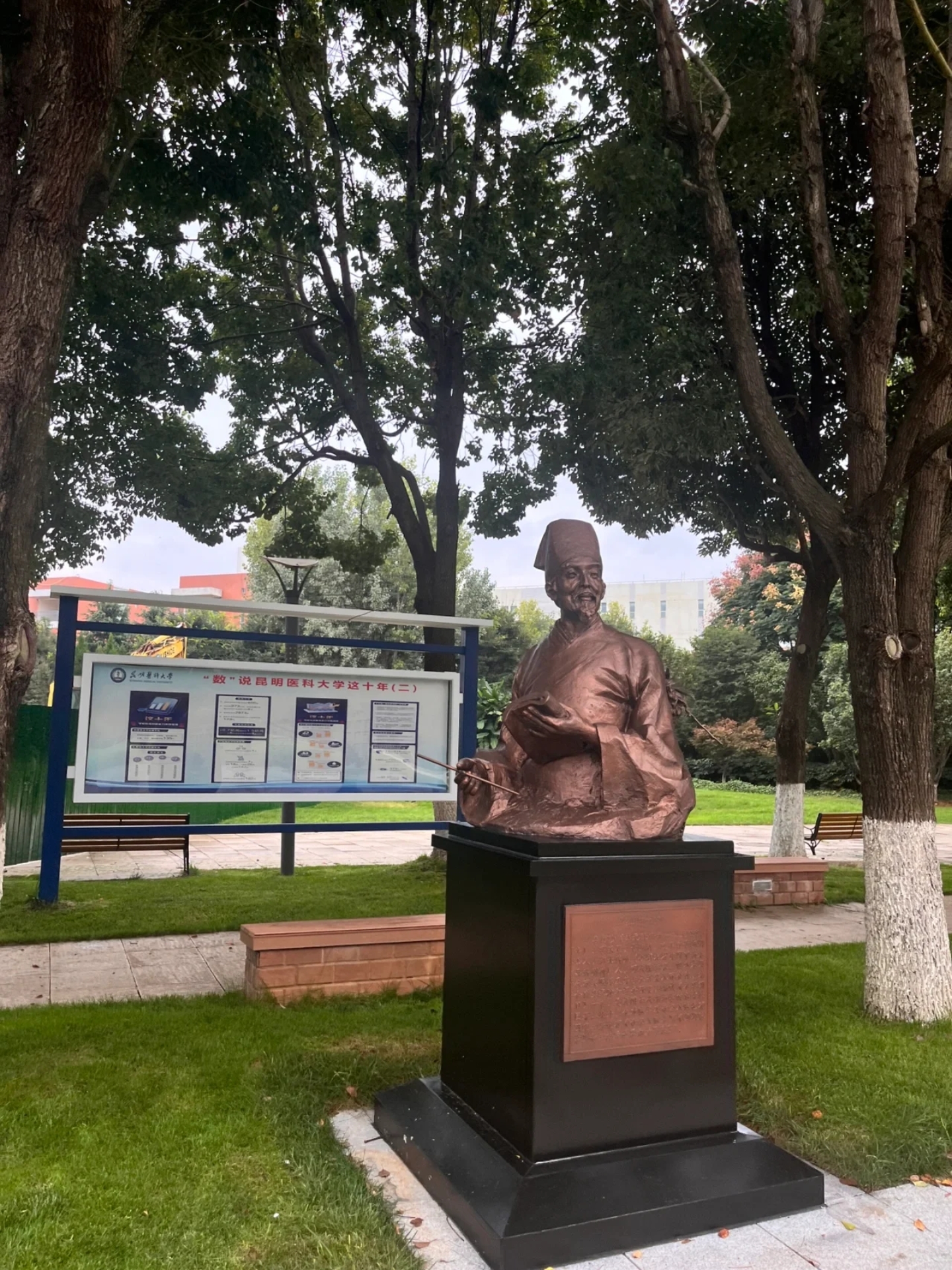 学药学12年后,我想对你说