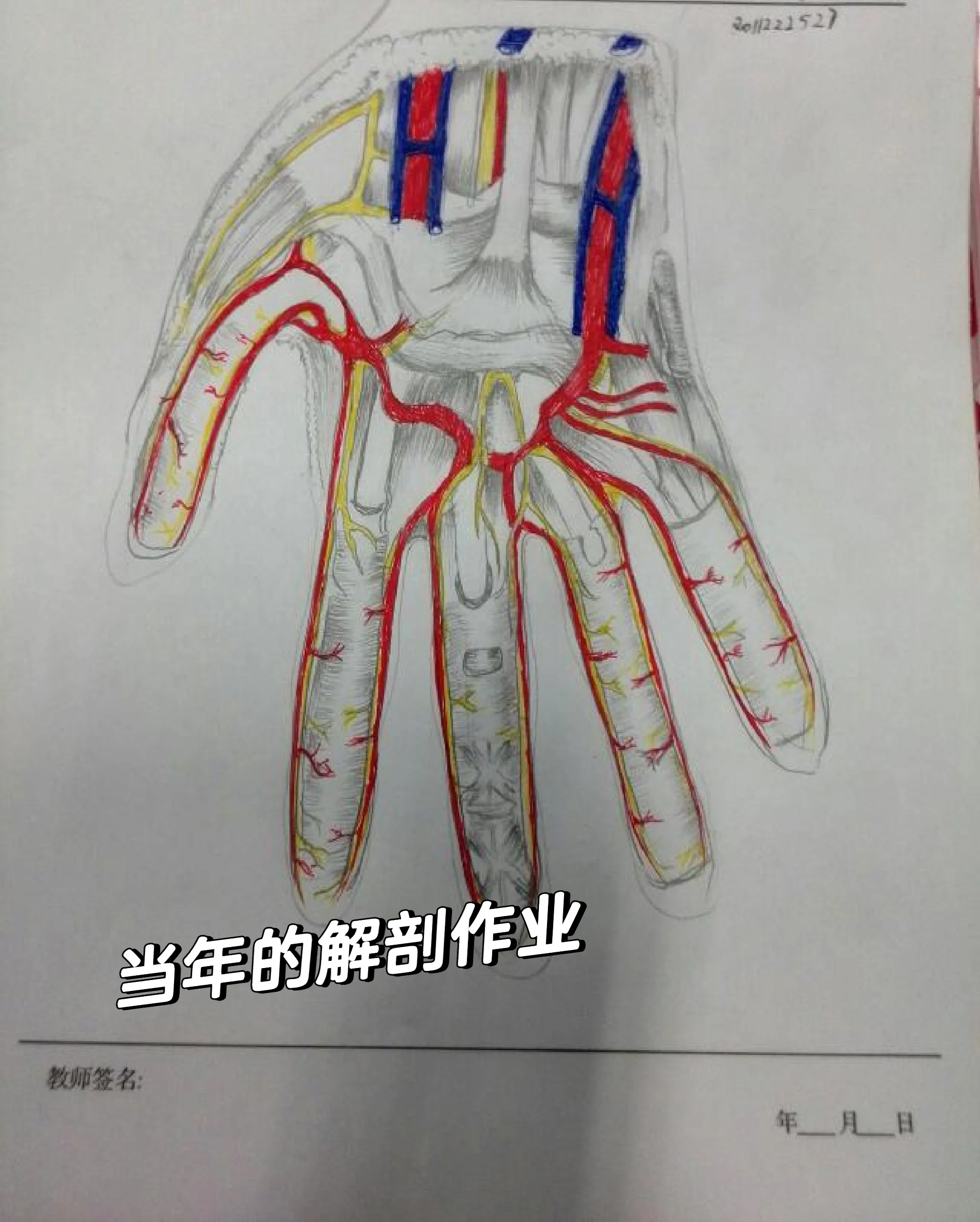 学医11年  还是会在高考后劝你学医懒人版 对于普