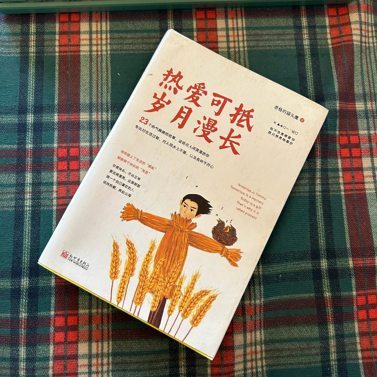 《热爱可抵岁月漫长》这本书真是太棒了!