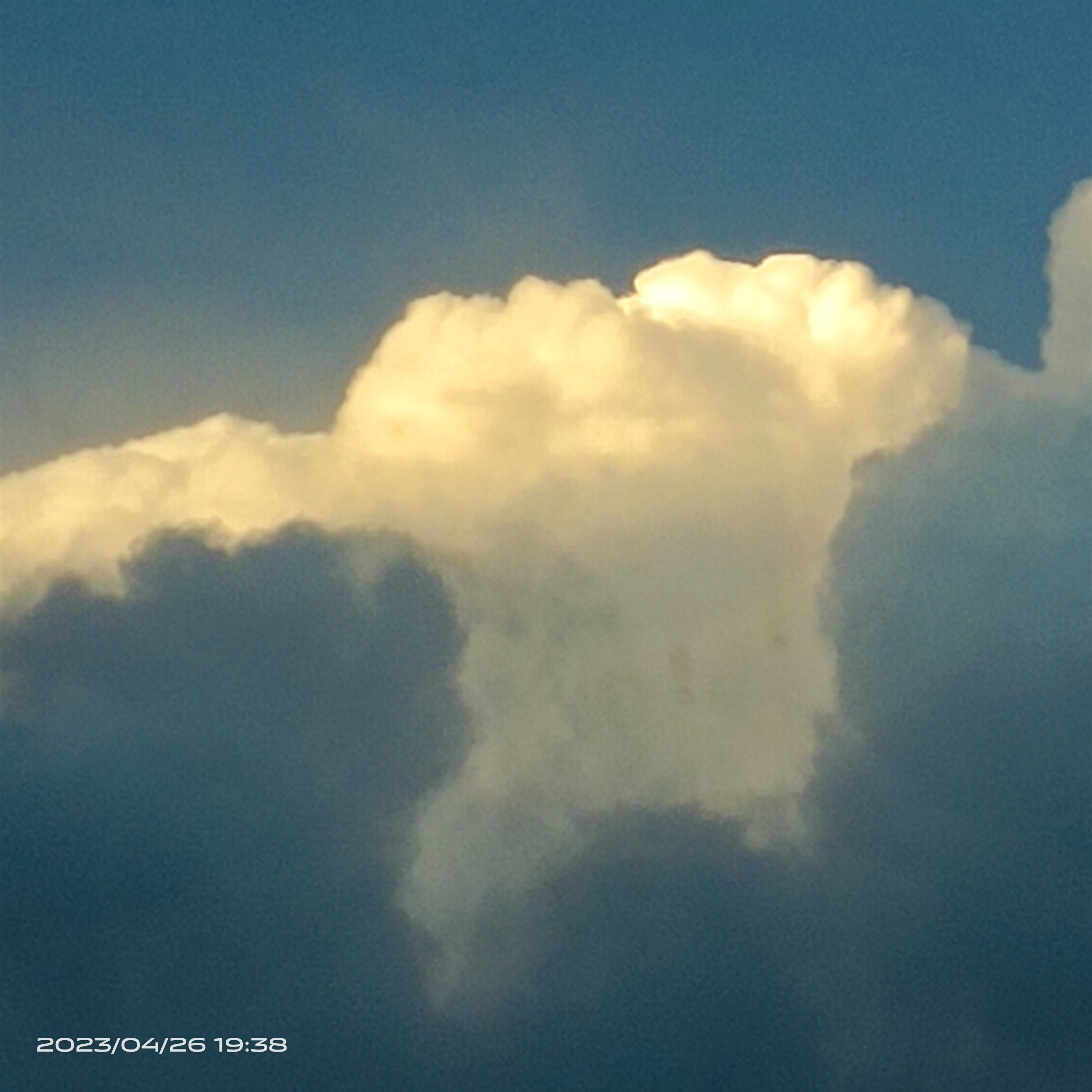 刘耀文:我不能哭,哭了就不是最帅的了