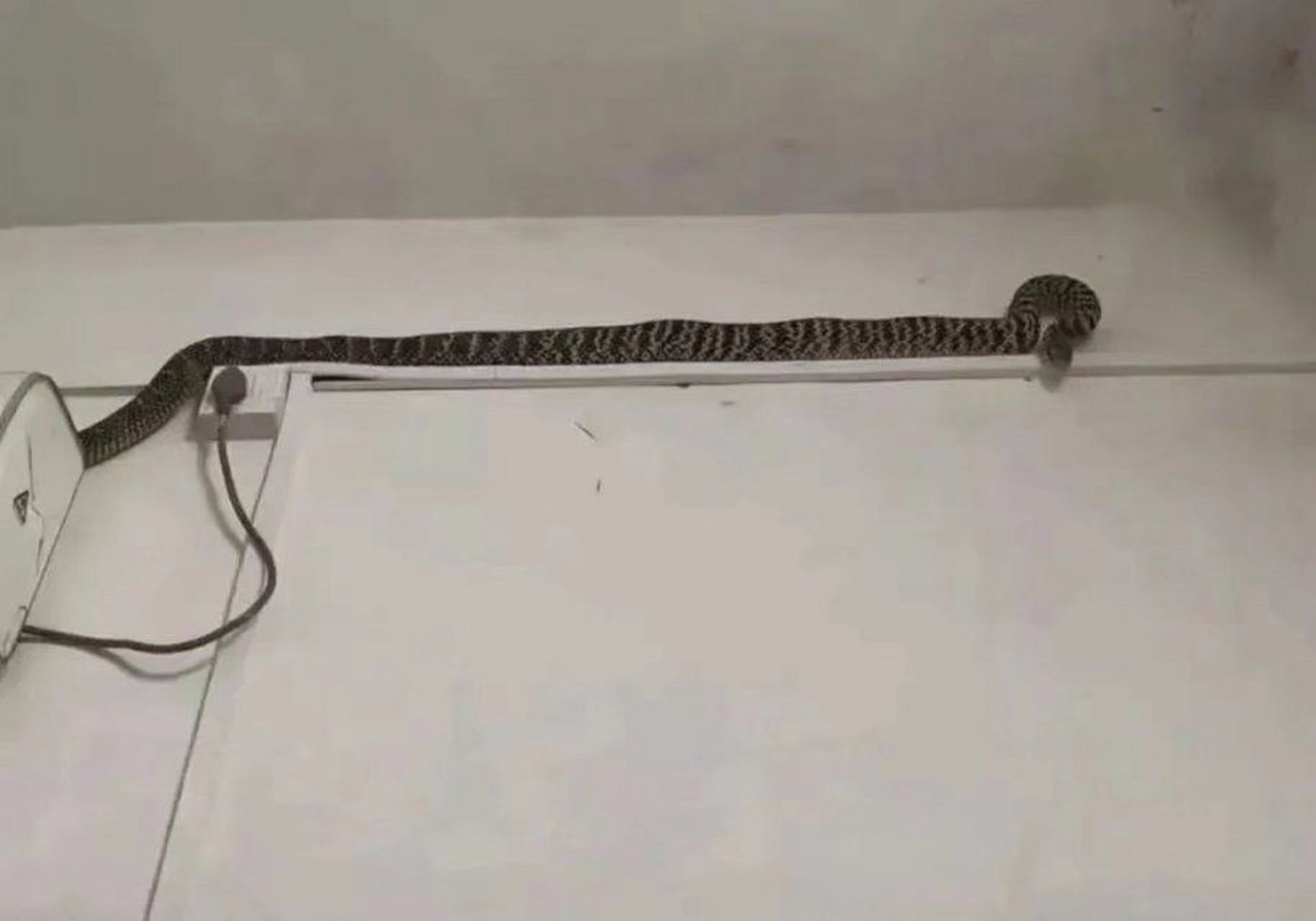 家里的空调线感觉不太一样,是我看错了嘛,怎么感觉像是蛇?