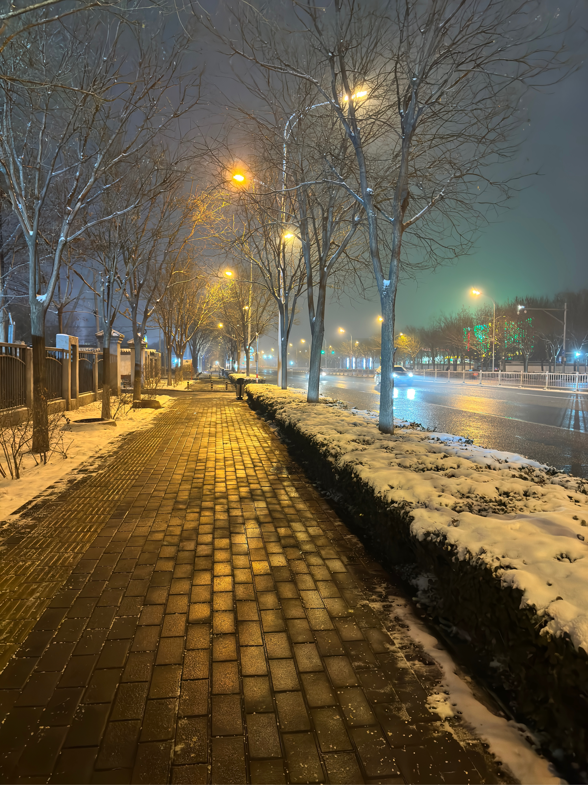 冬天夜晚图片马路图片