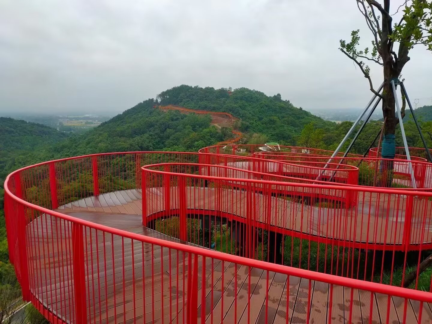 公园光明虎地山公园图片閘灘坡地公園崛围五悦森林公园大榭岛松止公园