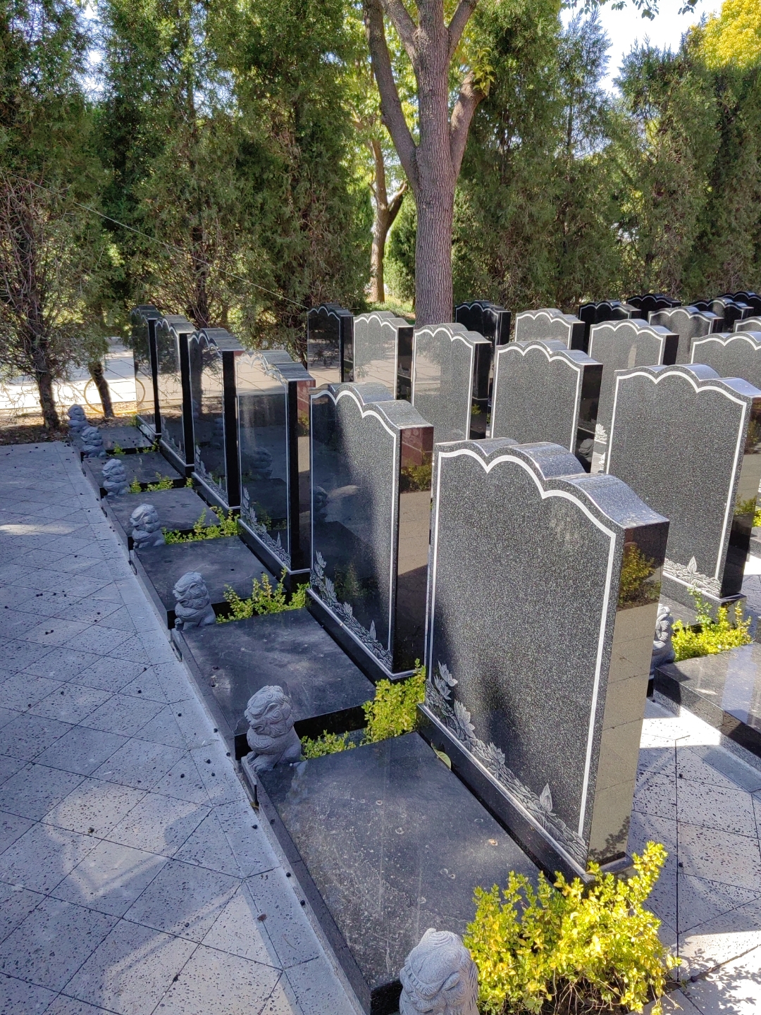 太仓浏河公墓,浏家港陵塔,乐遥园公墓,壁葬15800起,双穴带碑45800起.