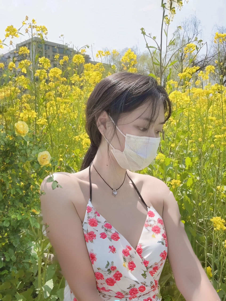 赏花赏月赏秋香