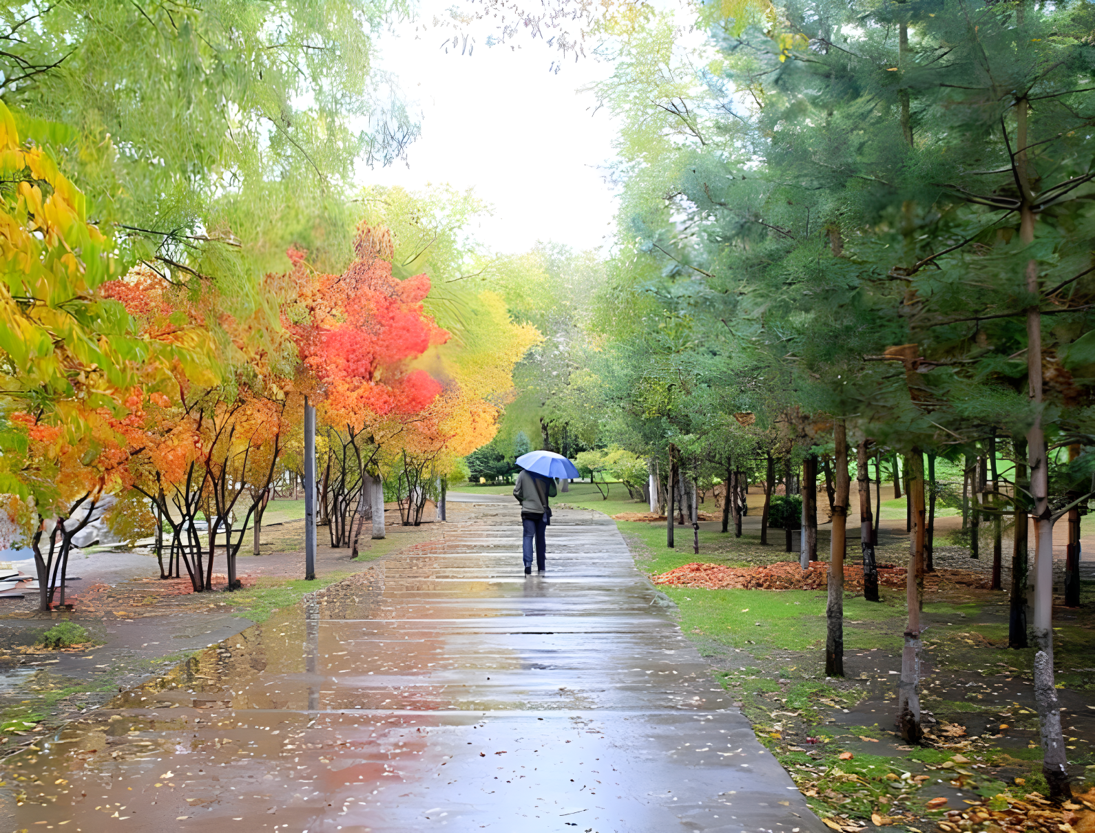 大雨霏霏图片