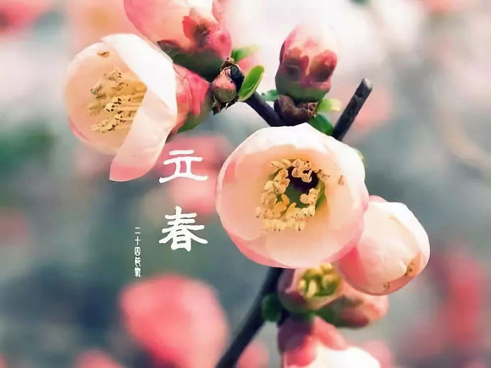 什么是出马 出马:东北称为搬杆子,顶香,领兵带队的.