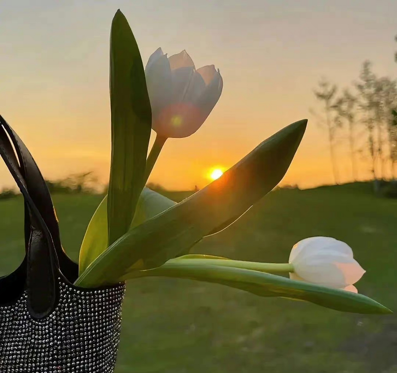 in addition to trivial and insipid life, there are delicious