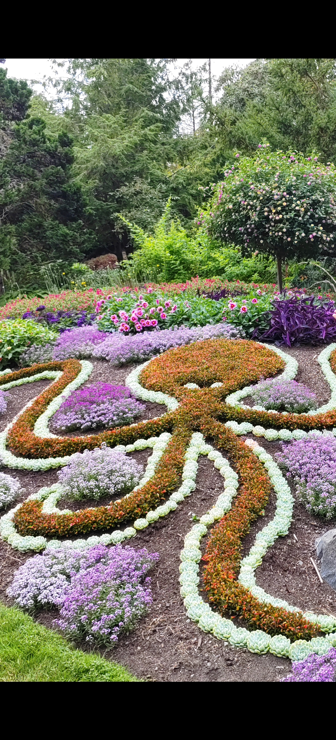 八月风景 花园图片