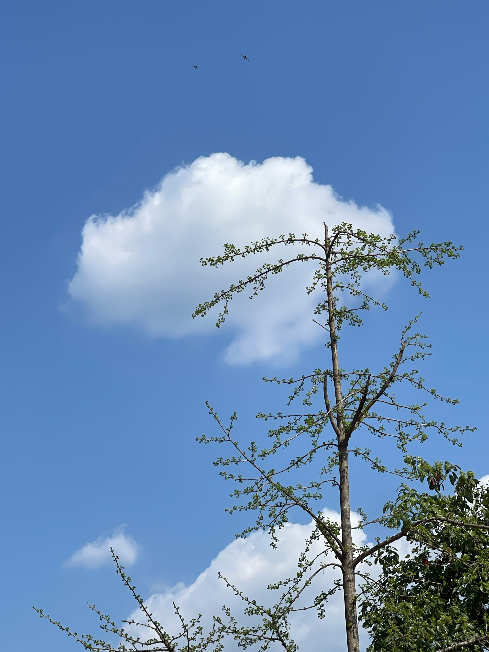 天空那么蓝