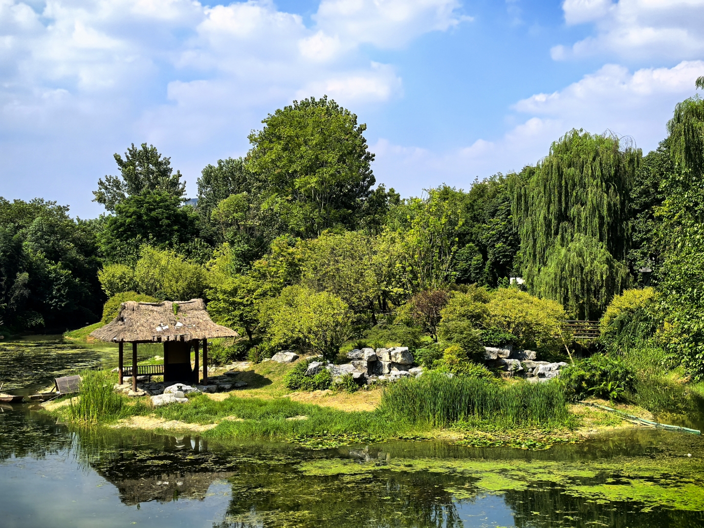 夏日避暑好去处,湖边小亭享清凉.成都浣花溪风景