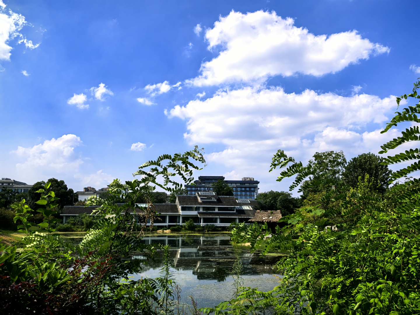 蓝天白云下,湖光潋滟间,绿树成荫,美不胜收.成都浣花溪公园