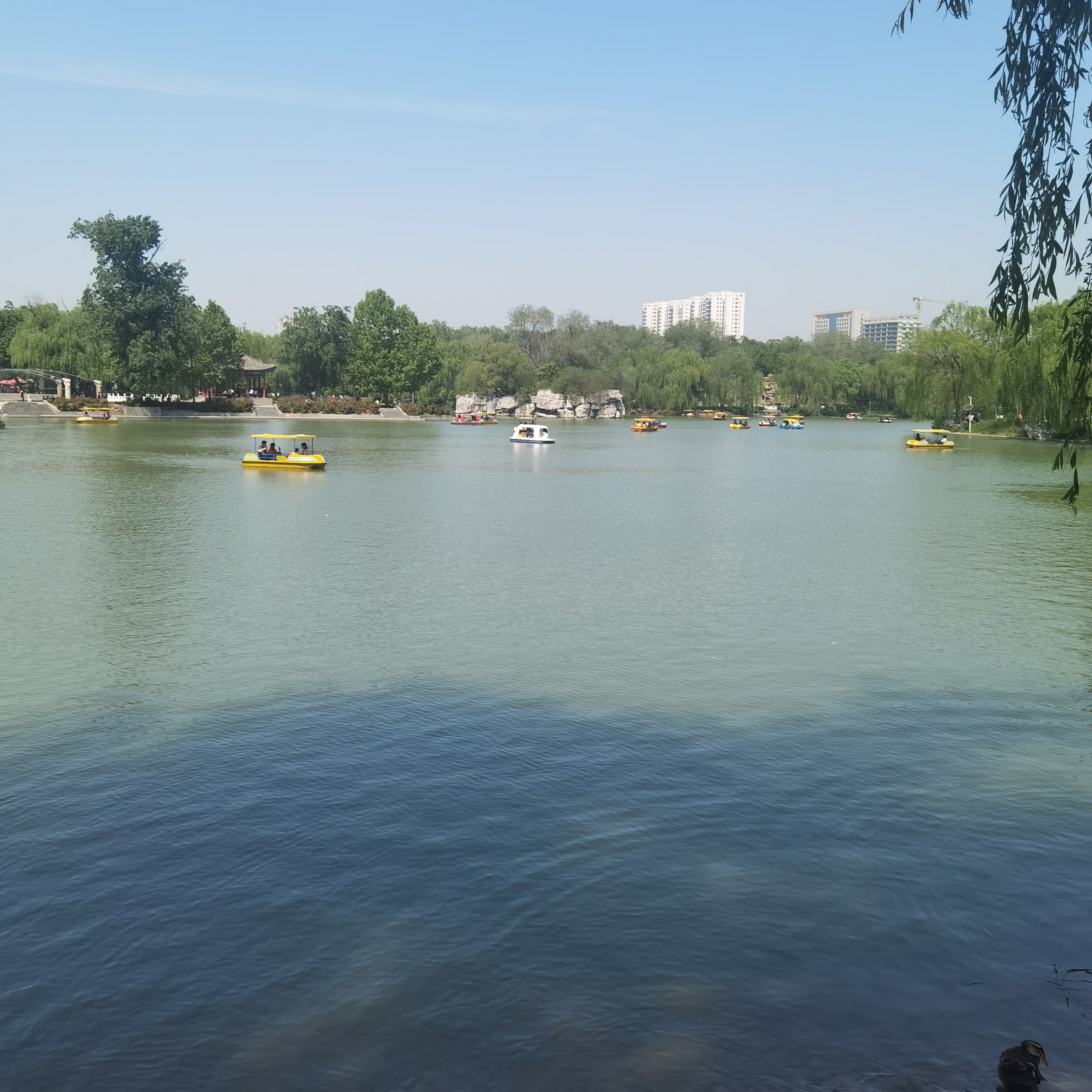 五一假期,去邢台达活泉公园游玩,欣赏了美丽的公园景色,南门有十几个