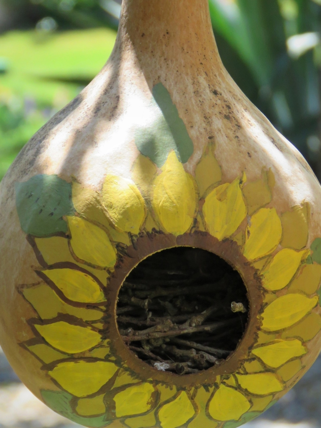 葫芦小鸟 黄洪平作品 葫芦鸟窝,斑驳岁月,温馨小憩.