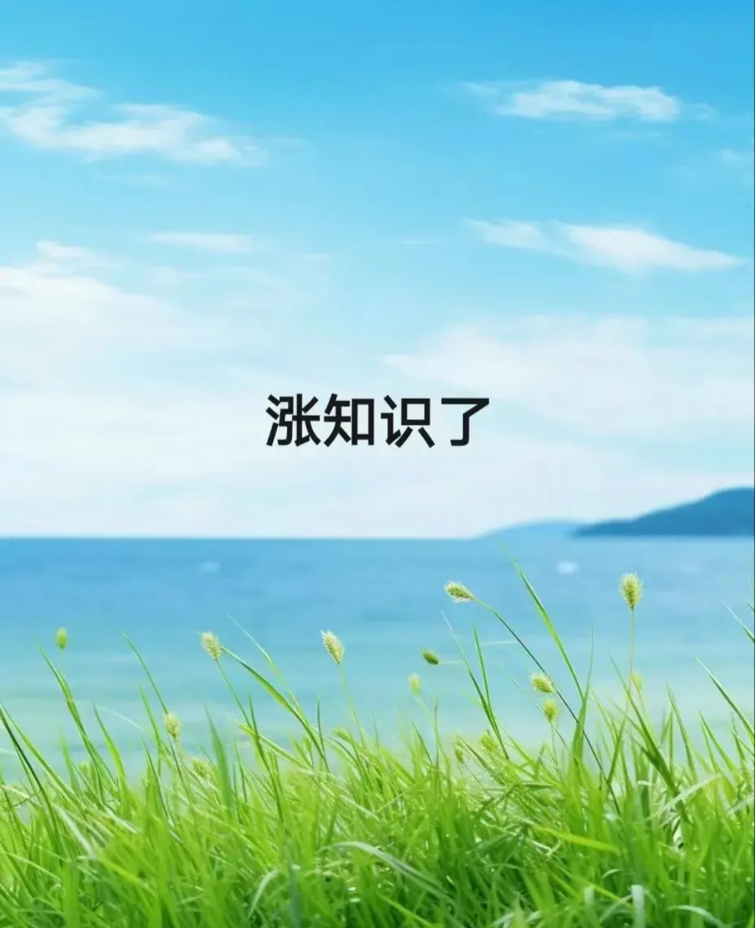 意么思楼什含-鲱思哏的是是0意思名初析义灵么军什不意明什素