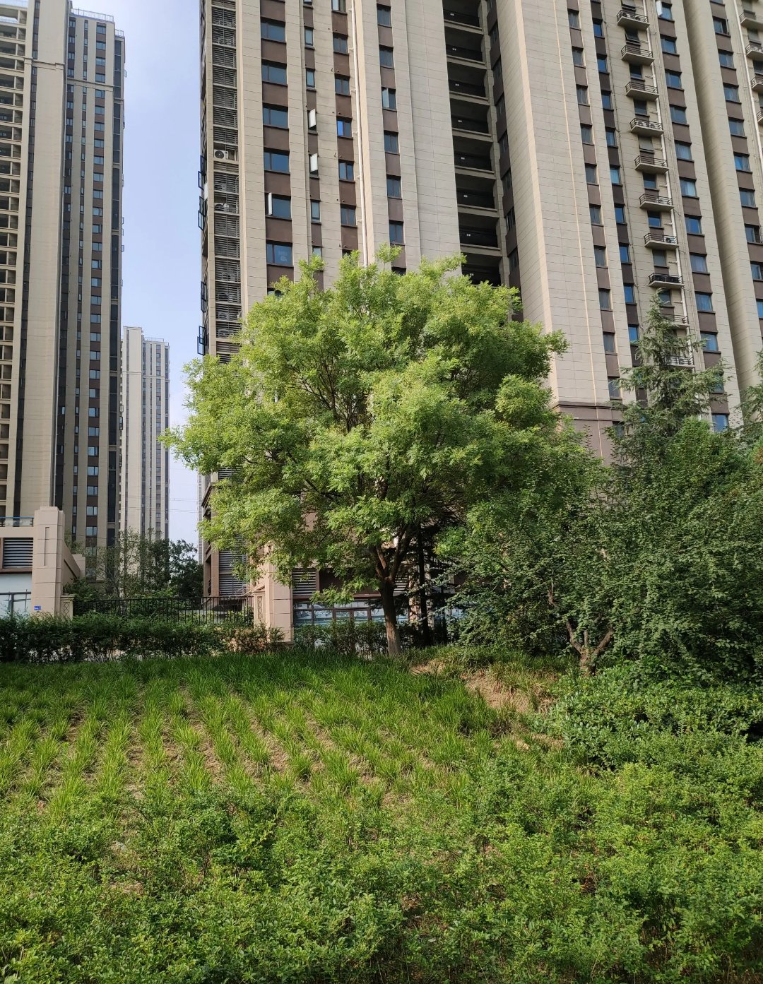 老板对会计说:要是供应商来要钱,如果我在凭证上签