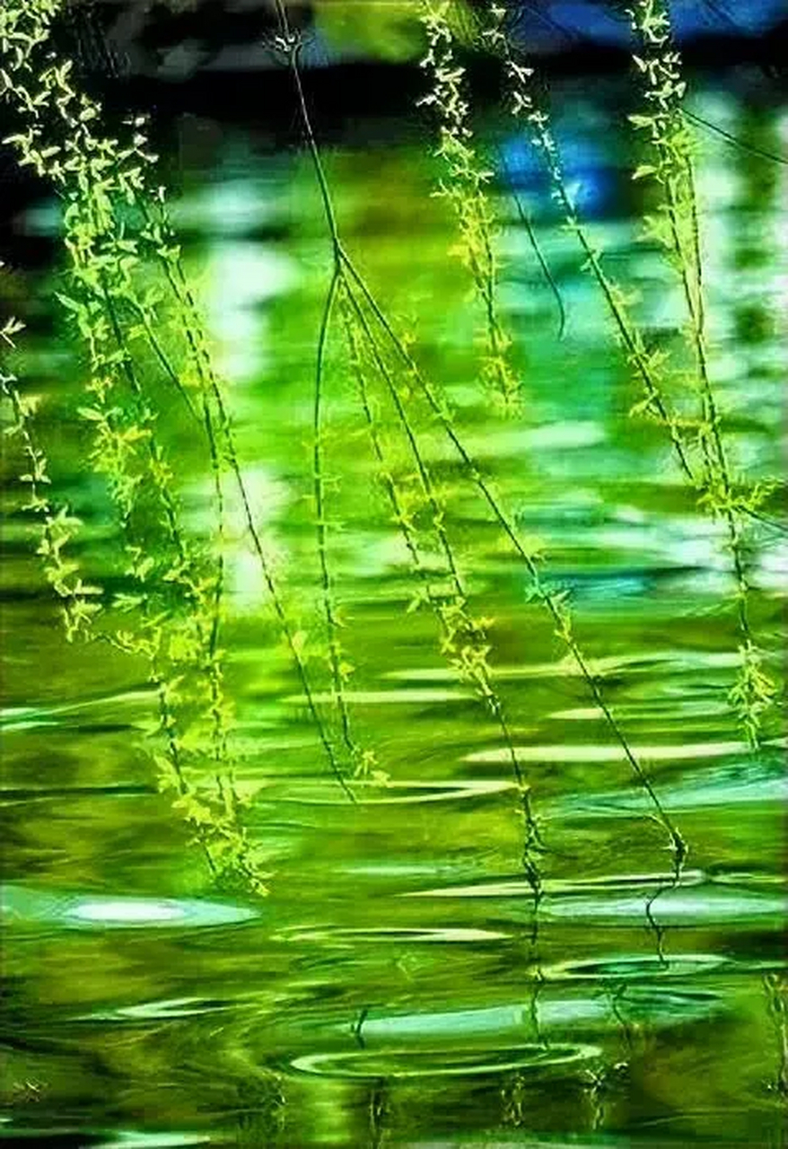 【对诗联】  出句 雨后槐花逞俊俏 对句 ? 例句 河边柳树绿成荫