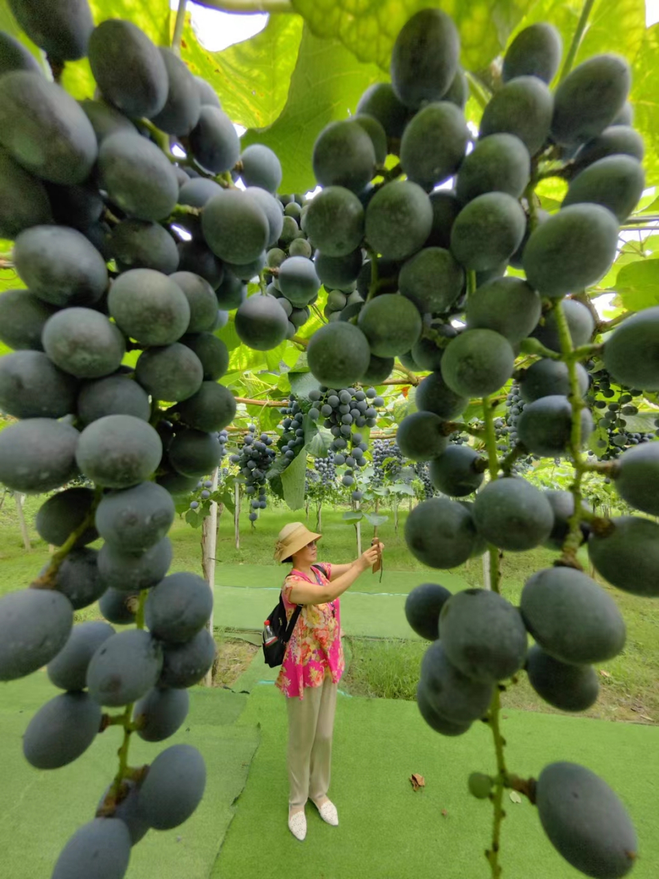 《诗经·齐风·载驱》  载驱薄薄,簟茀朱鞹. 鲁道有荡,齐子发夕.