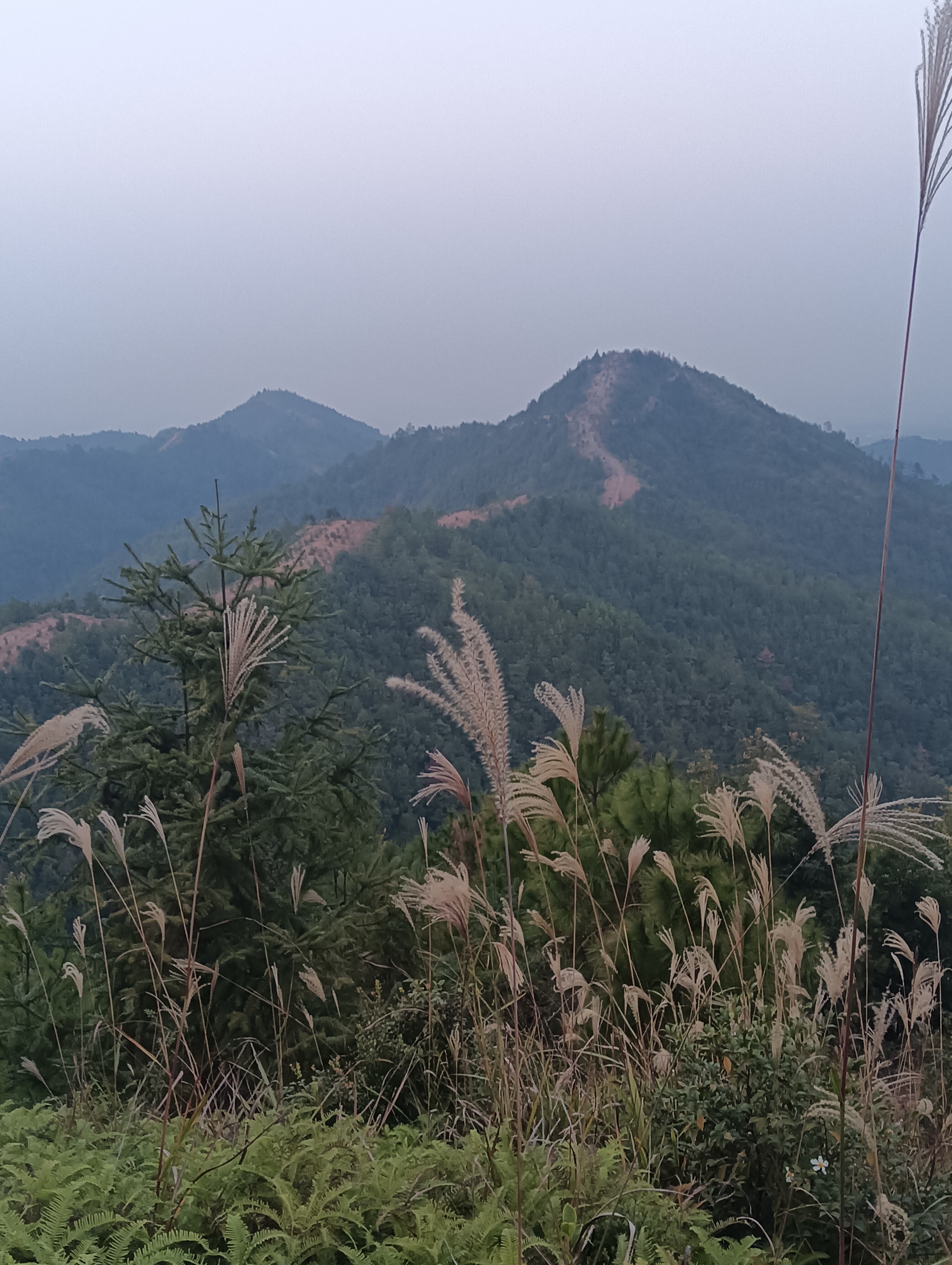 家乡的自然风景