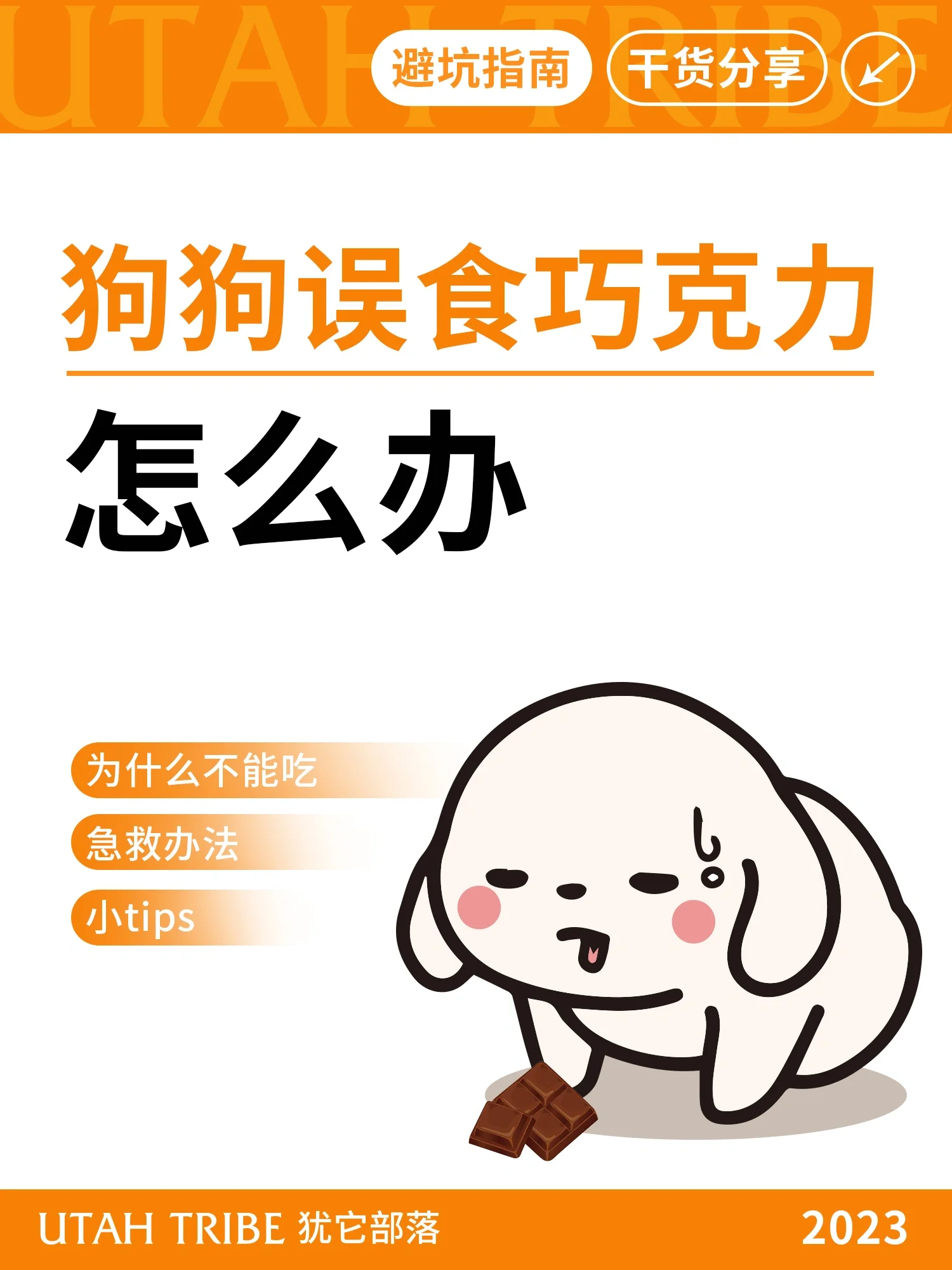 狗不小心吃了一点点巧克力怎么办为什么在线