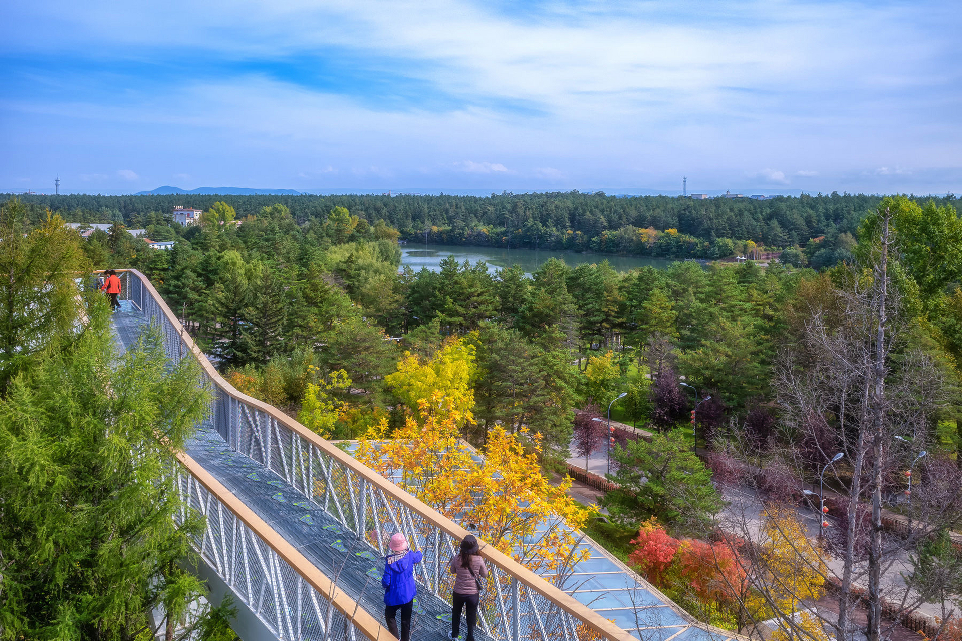 长白山下的二道白河镇有一座玻璃廊桥,名字叫美人松空中廊桥,它就在