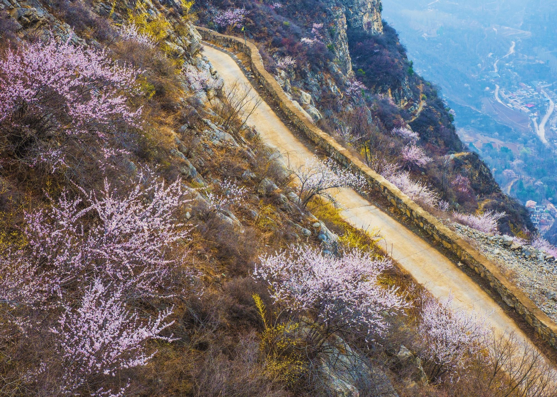 大脑村 大脑村是林州市石板岩镇的一个行政村,地处南太行腹地.