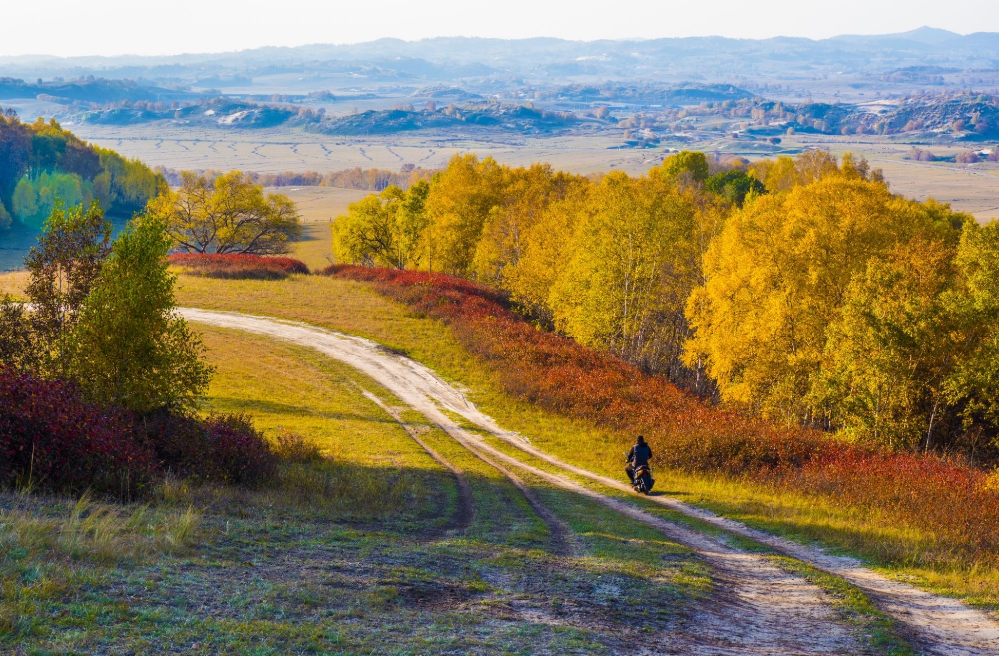 乌兰布统 乌兰布统景区自然旅游资源以草原,湖泊,沙地,湿地,林地为主