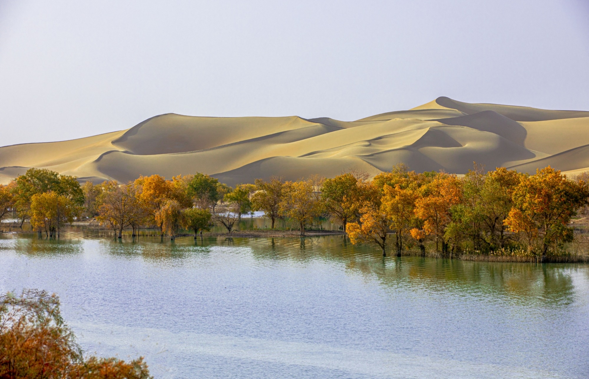秋日的尉犁县三十三团葫芦岛之行,放眼望去尽是绚丽斑斓的色彩,金色