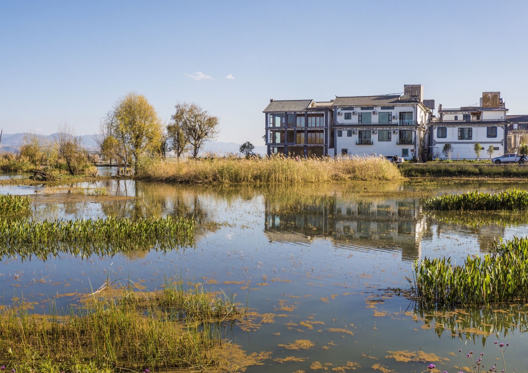 才村 才村地处云南省大理市大理镇的大理古城东边,位于洱海西岸,辖区