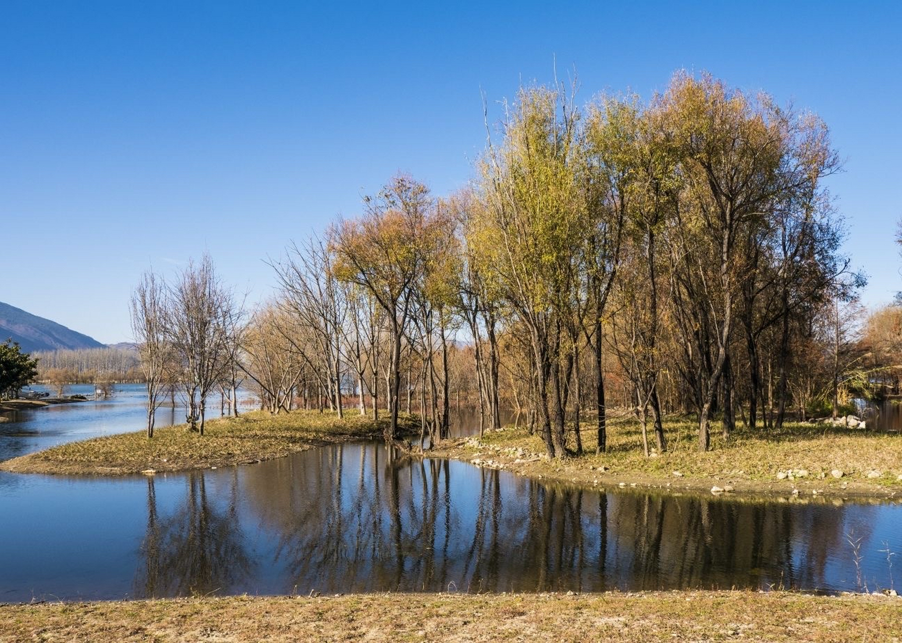 才村 才村地处云南省大理市大理镇的大理古城东边,位于洱海西岸,辖区