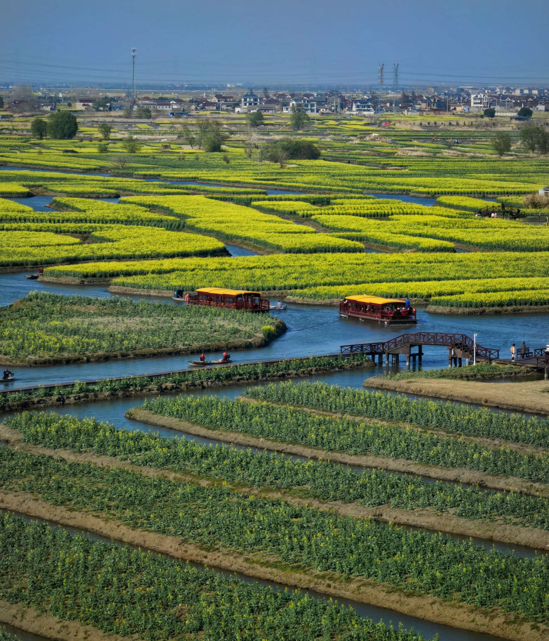 千垛油菜花景区位于江苏泰州兴化市,以千岛样式形成的垛田景观享誉于