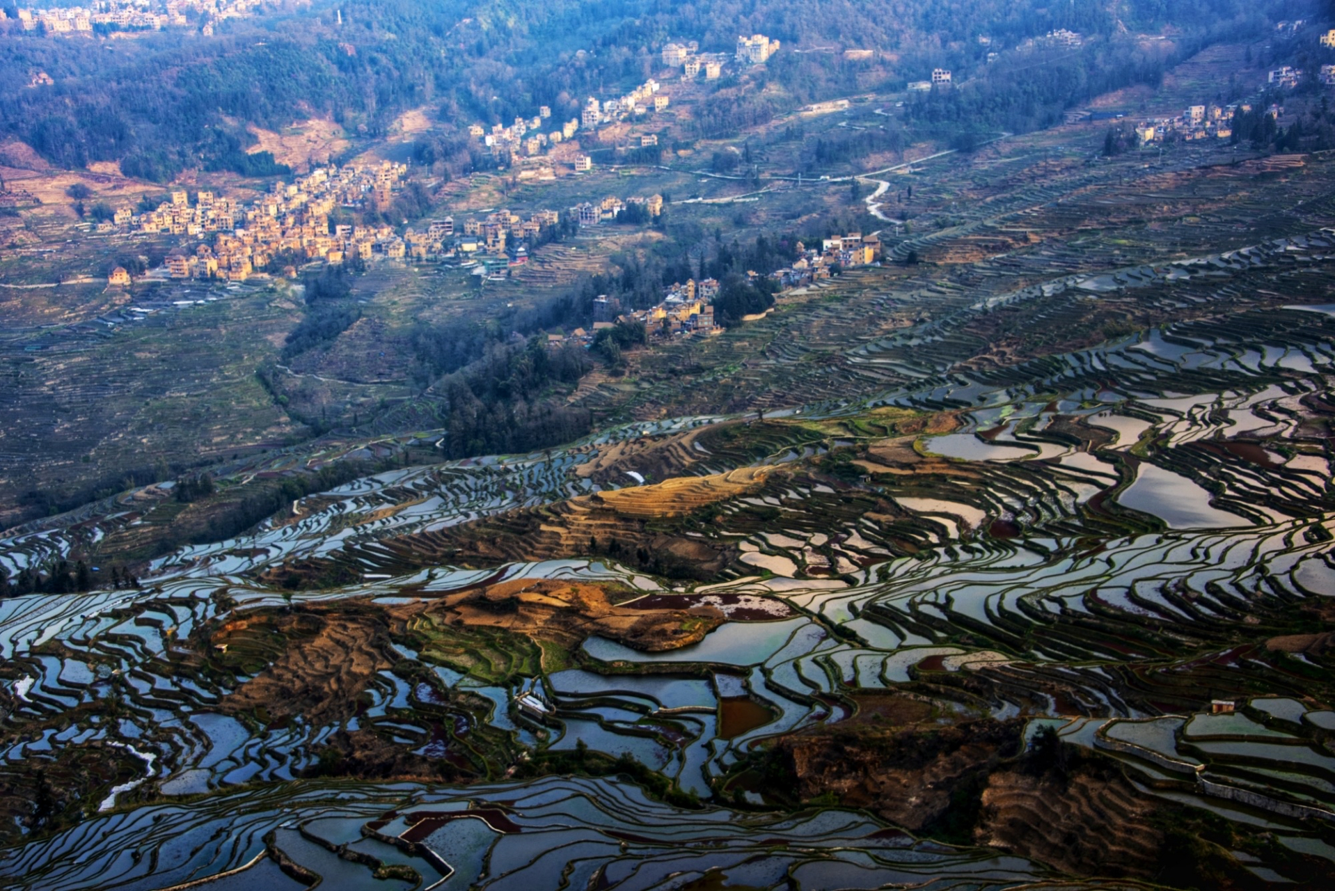 多依树梯田多依树梯田景区位于元阳梯田国家湿地公园及申报世界文化