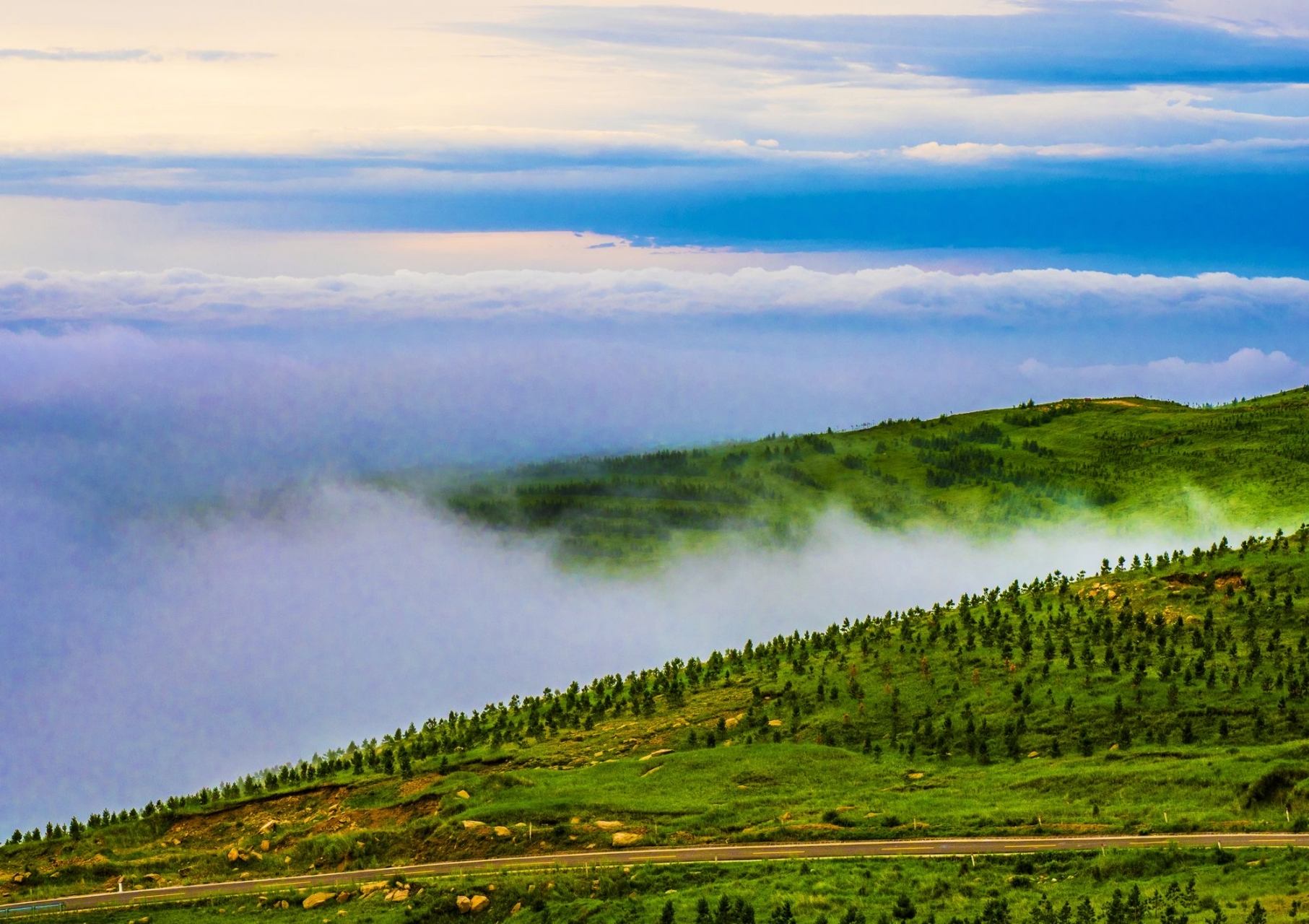 大青山国家森林公园
