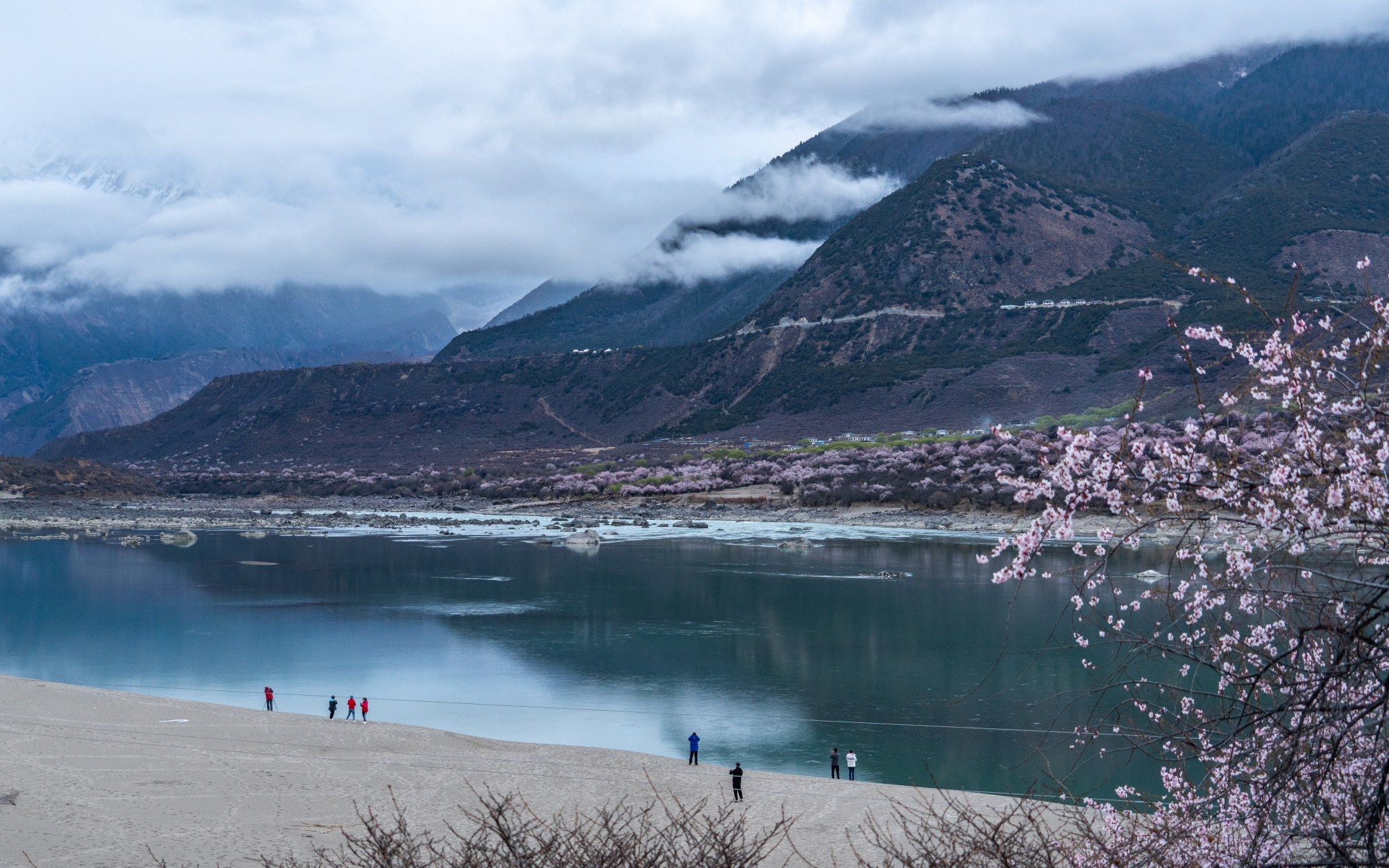 旅行#   尼洋河是去林芝路上最重要,也是最好看的景点之一,翡翠绿一