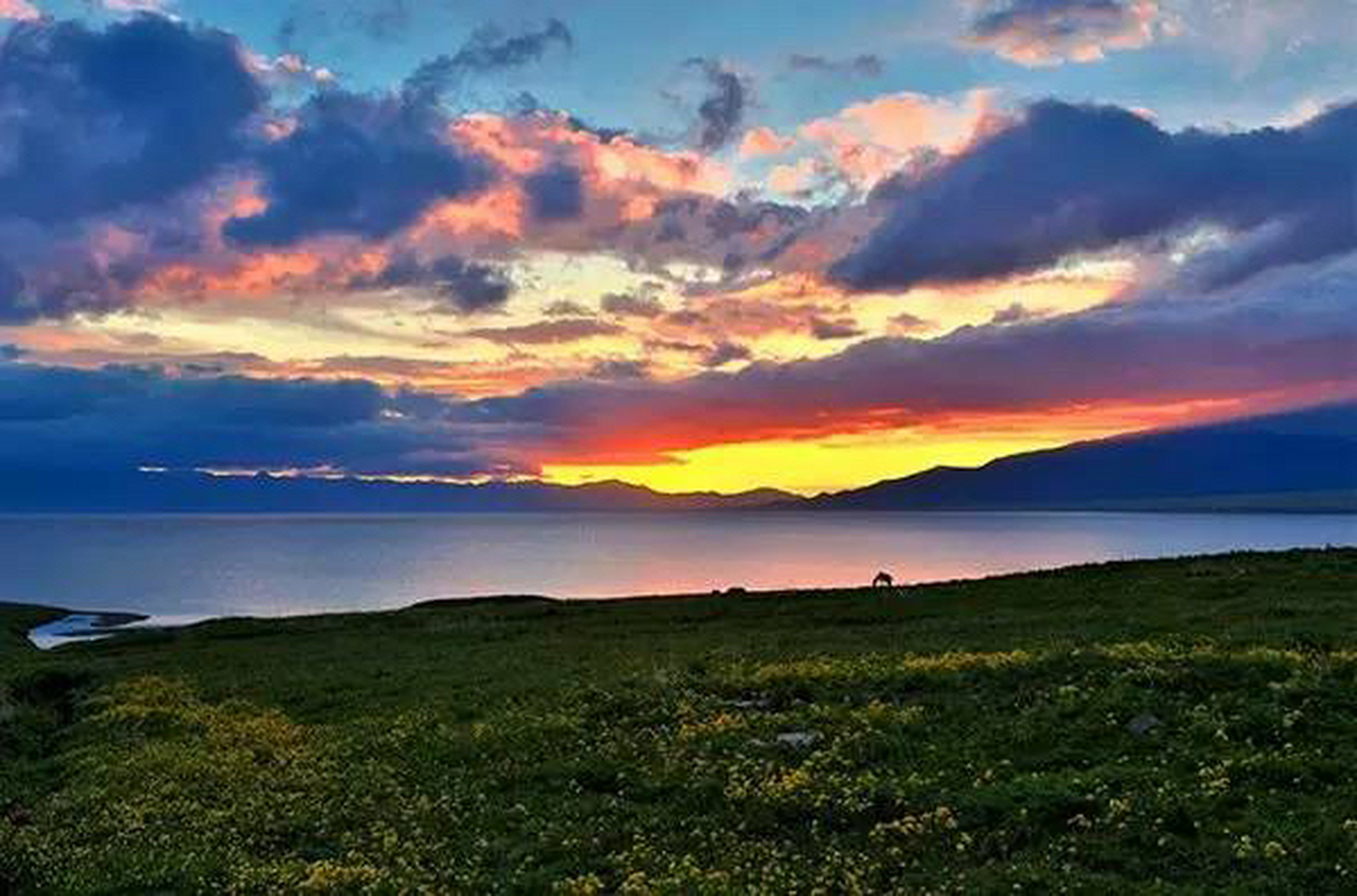 新疆伊犁的秋天,一个美哭摄影师的地方