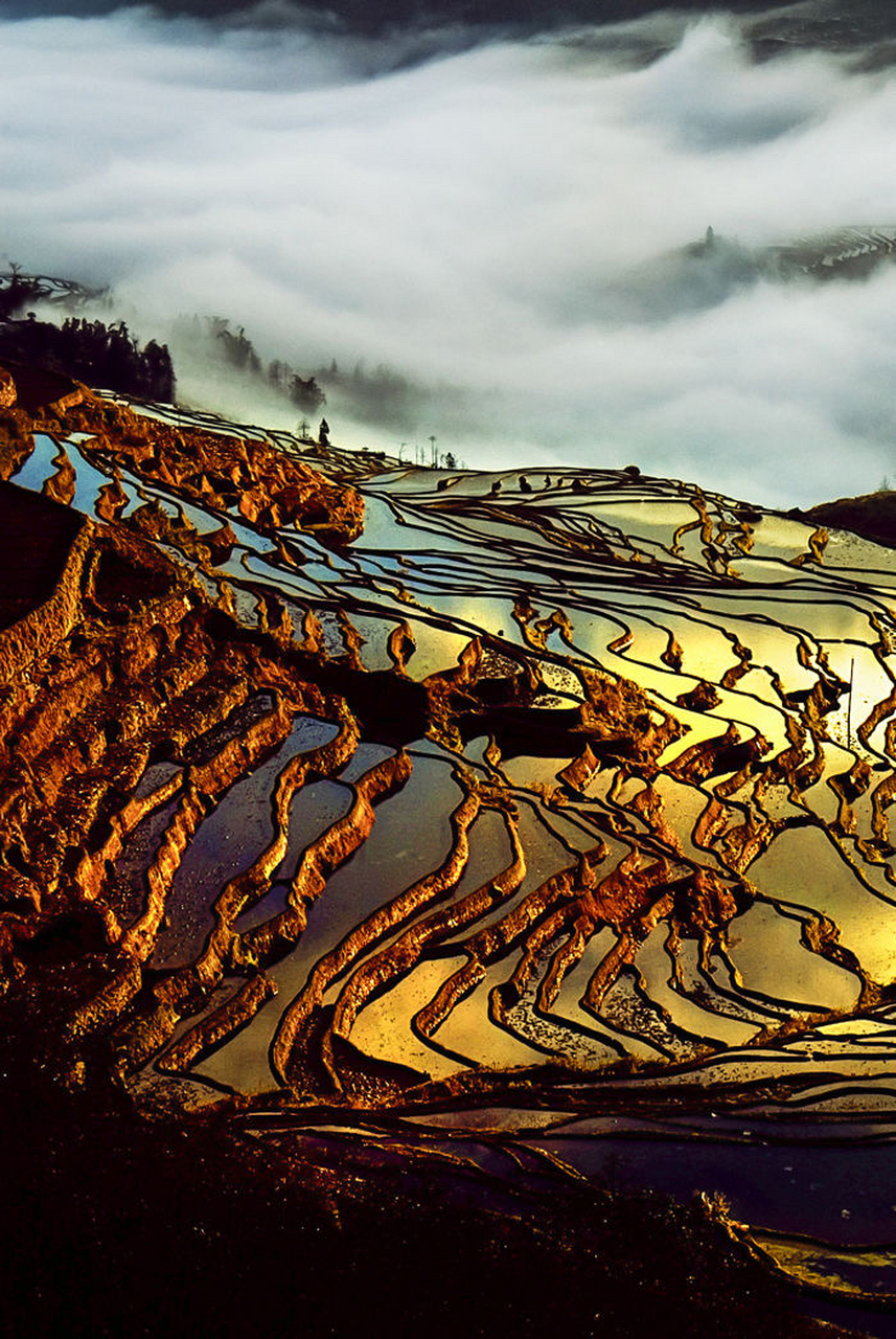 元阳梯田从属于红河哈尼梯田.