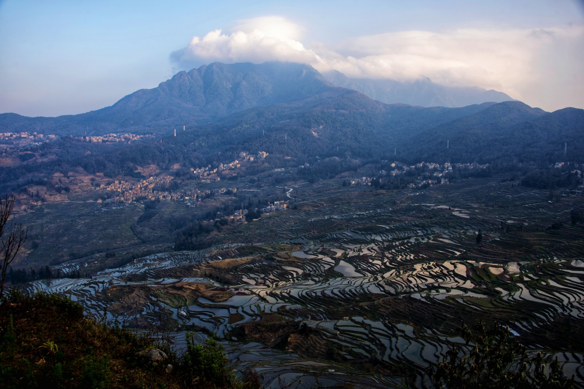 多依树梯田多依树梯田景区位于元阳梯田国家湿地公园及申报世界文化