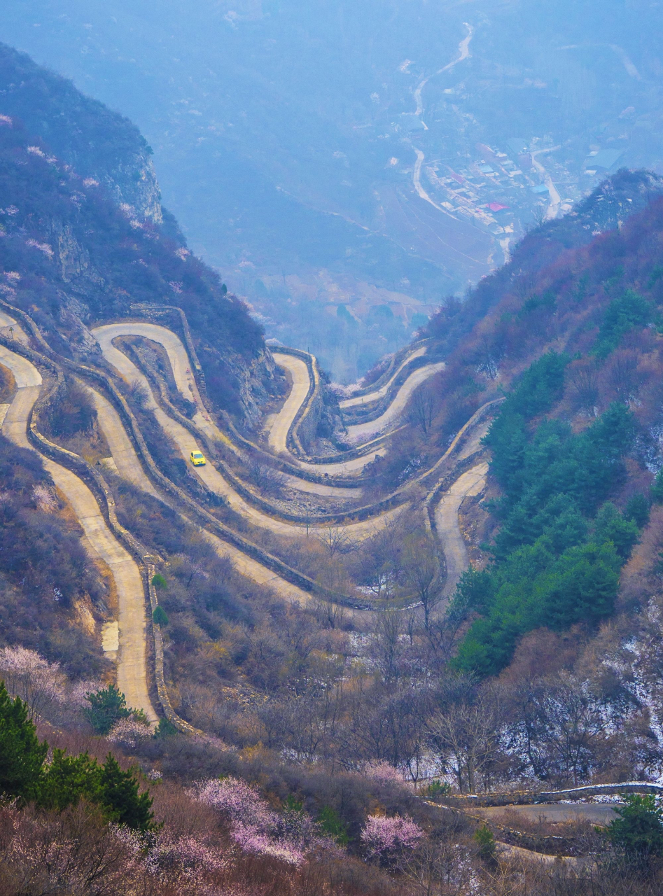 大脑村 大脑村是林州市石板岩镇的一个行政村,地处南太行腹地.