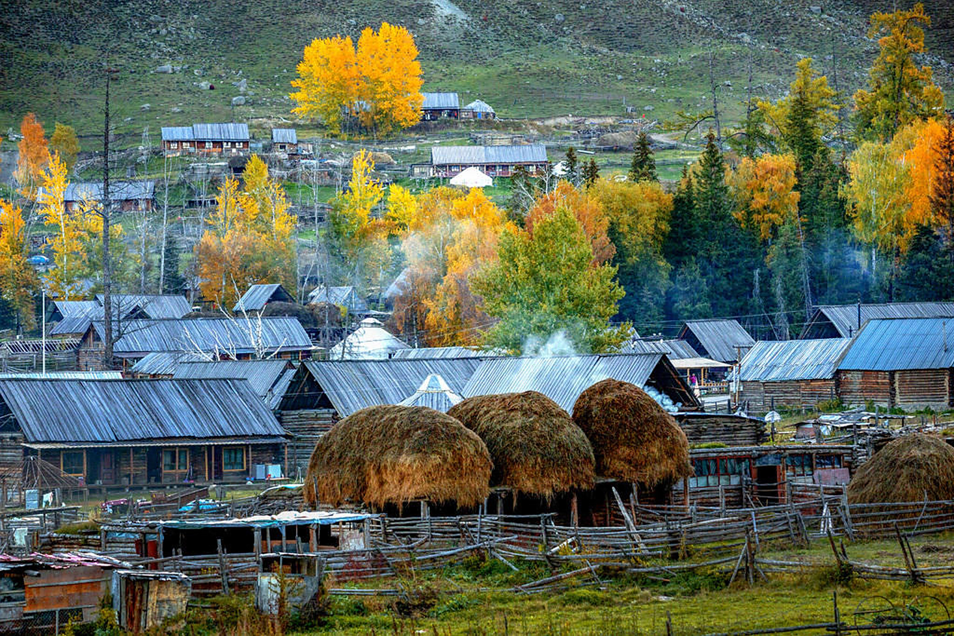 喀纳斯,禾木秋色,主要是靠成片的秋叶林变色,达到层林尽染的视觉震撼.