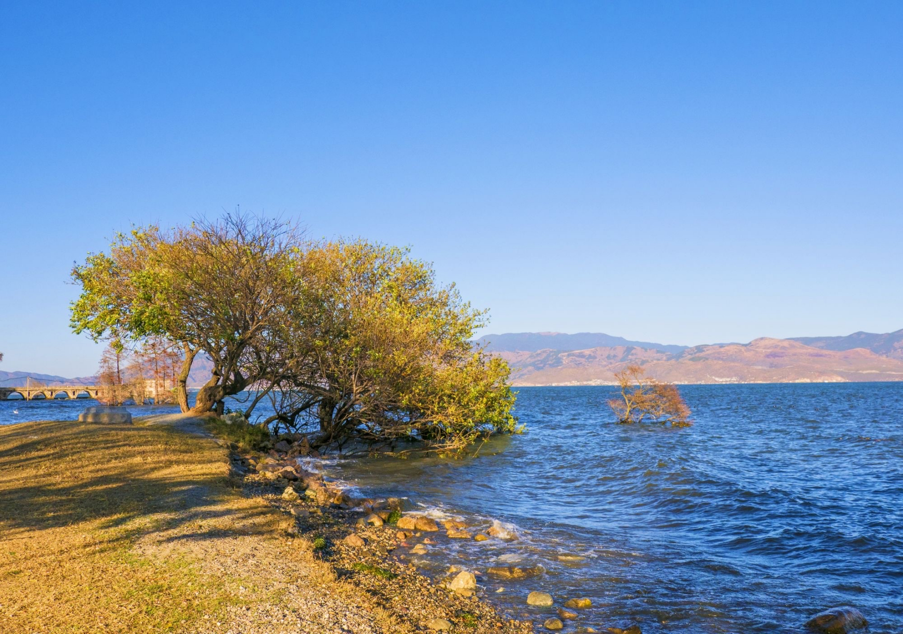 才村 才村地处云南省大理市大理镇的大理古城东边,位于洱海西岸,辖区