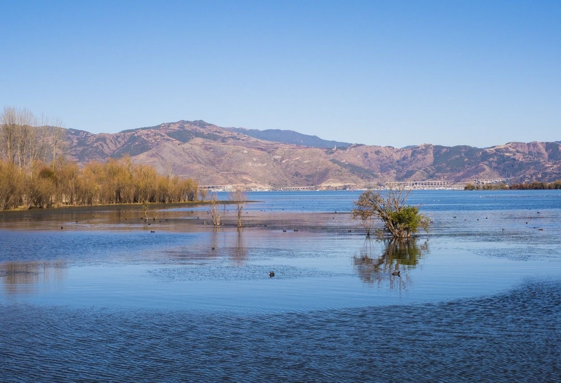 才村 才村地处云南省大理市大理镇的大理古城东边,位于洱海西岸,辖区