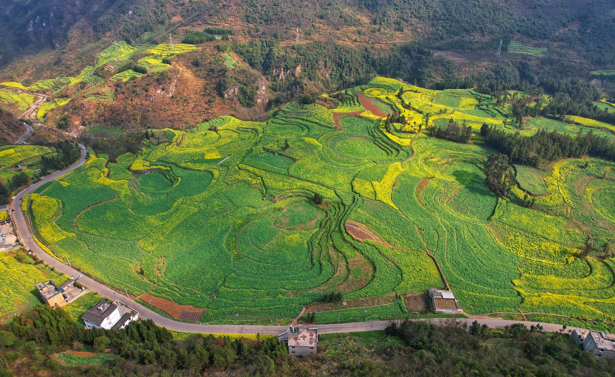 多依树梯田景区位于元阳梯田国家湿地公园及申报世界文化遗产核心区