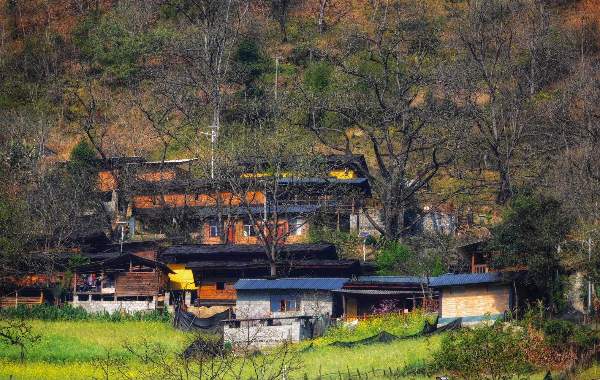 走进怒江最美村寨—老姆登村 老姆登村位于云南省怒江州福贡县匹河