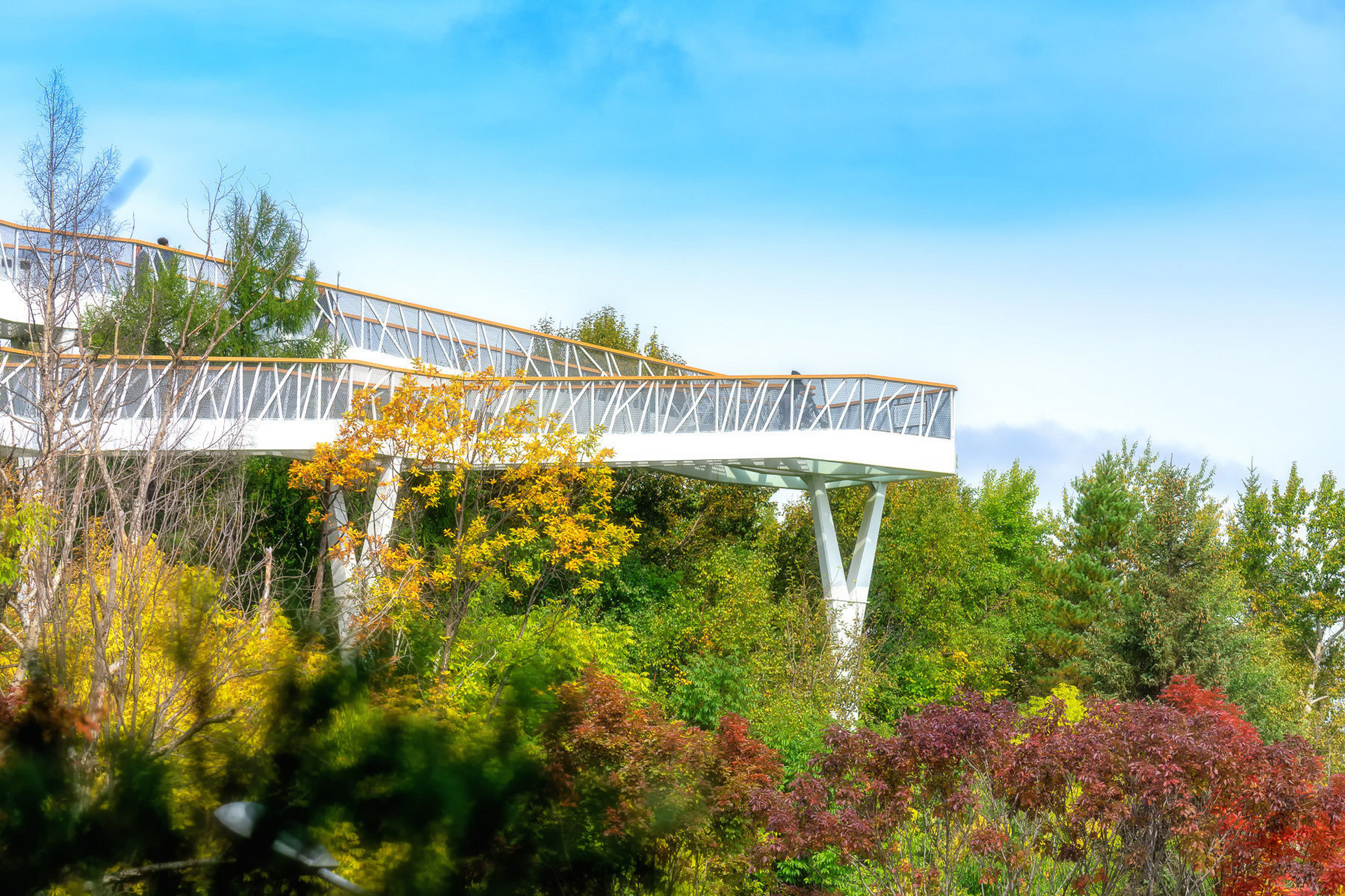 长白山下的二道白河镇有一座玻璃廊桥,名字叫美人松空中廊桥,它就在
