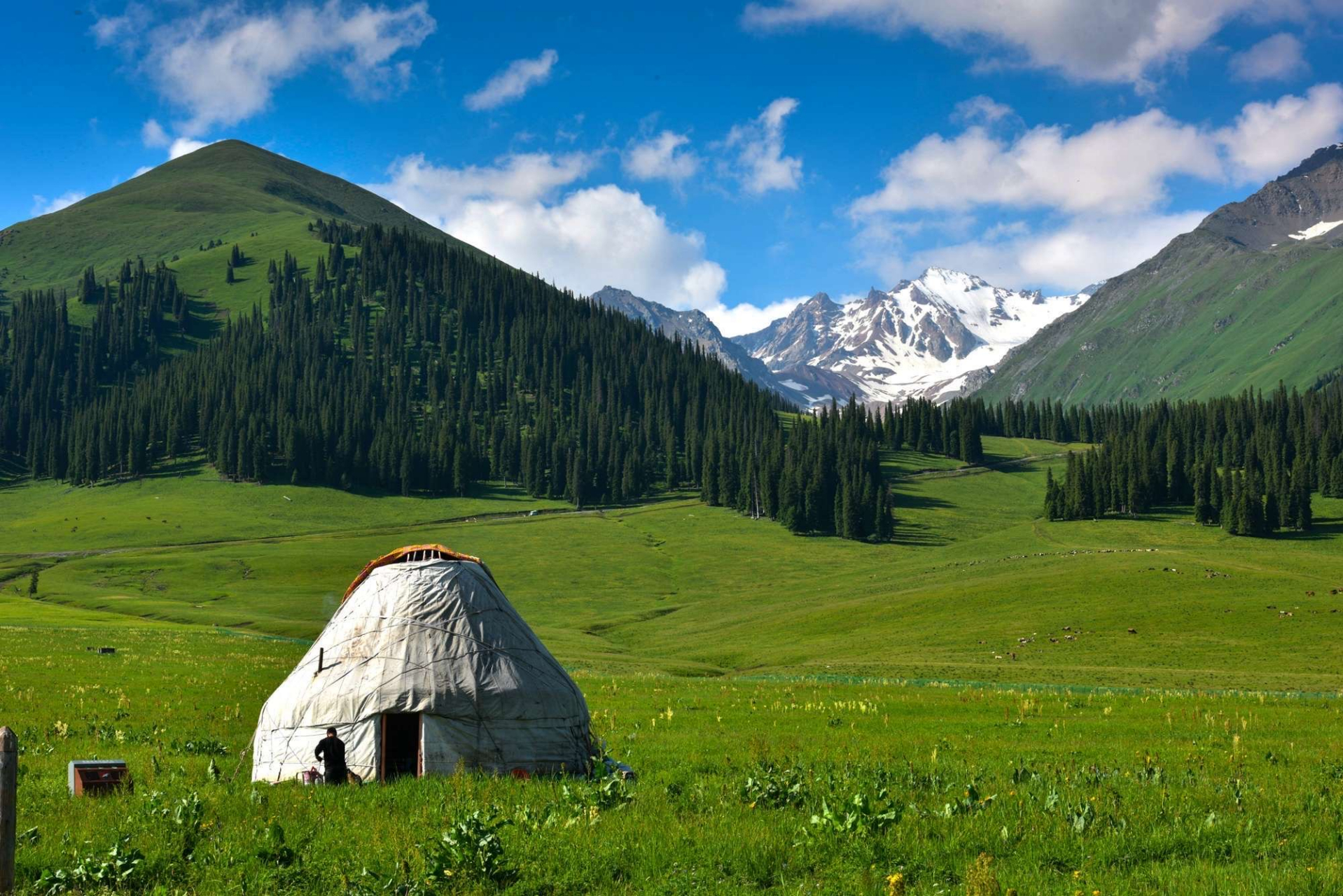 那拉提草原又名巩乃斯草原,突厥语意为"白阳坡",在新源那拉提镇东部